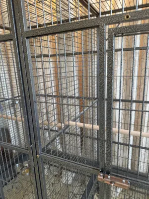 Cage for birds