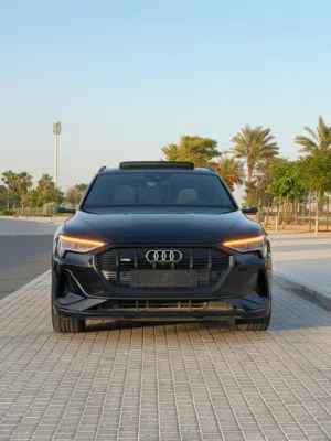 Used Audi Q8 e-tron in Ajman