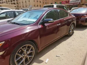 maxima 2011
