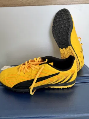 Puma indoor soccer shoes