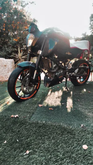 شطب-رسمي-مع-وراق-موجود-بنابلس