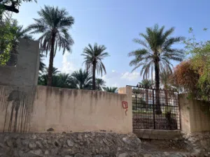 زراعي-سكني و مساحة كبيرة في موقع نادر