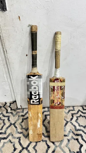 Cricket bat