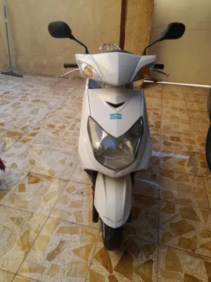 سكنس فحل مرتبه  بغداد