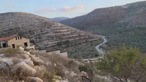 متوفر نمر اراضي في عصيرة الشمالية بموقع مميز بجانب مشروع حي الجبل للبيع على الكاش او بالتقسيط