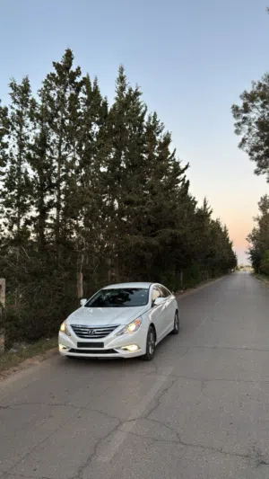 سوناتا 2014