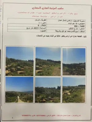 ارض 4 دنم الرمان محاذية لسور جامعة فيلادلفيا منطقة شاليهات ذات إطلالة رائعة تصلح لمشروع سياحي