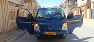هونداي بورتر H100