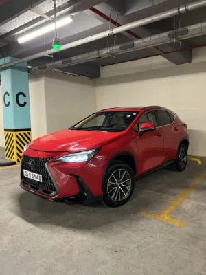 Used Lexus NX in Erbil