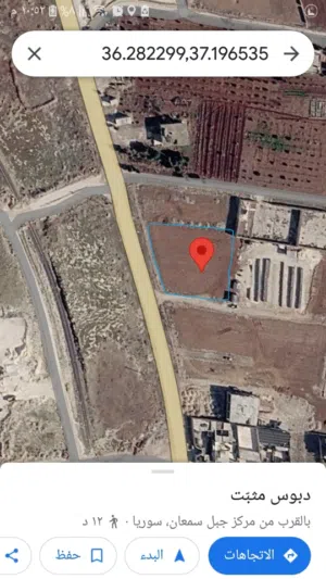 Farm Land for Sale in Aleppo Jabal Samaan