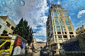 113 m2 . Landlord3