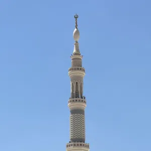 عبدالرحمن محمد شعبان 