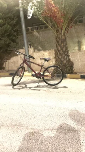 Bicycle made in U.S.A