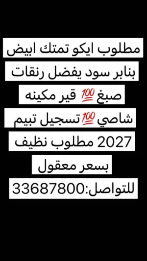 Used Toyota Echo in Northern Governorate