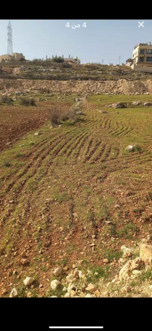 Residential Land for Sale in Amman Badr Jdedeh