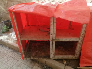 قفص للبيع بسعر 15قابل للتفاوض