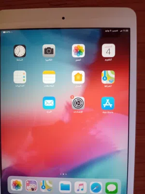 Apple iPad Mini 2 256 GB in Misrata