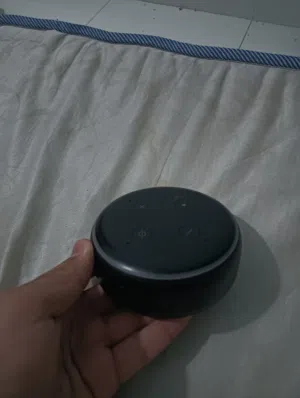 amazon alexa echo dot