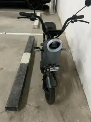 Electric bike