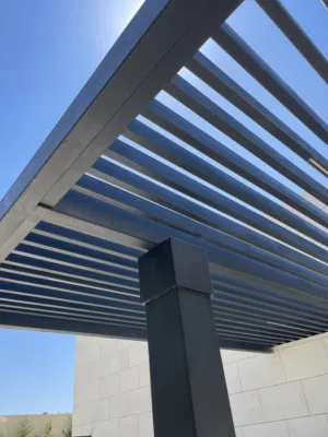 حمايات بعدة رسمات