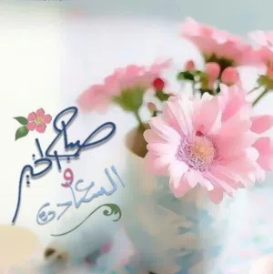 حماده محمود محمد يوسف 