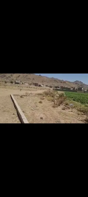 ‏تجارية ‏.‏ 480 م٢ ‏.‏ الوسيط‏1