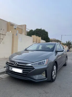 النترا 2019
