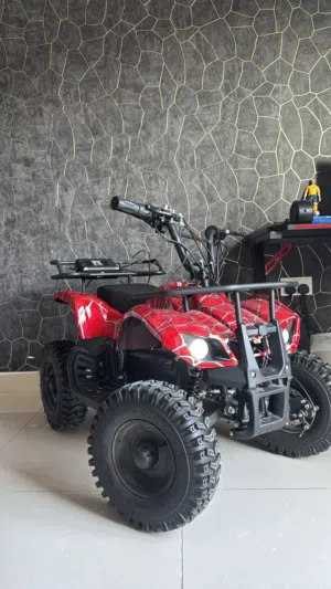 E-quad-bikeدراجة كهربائية