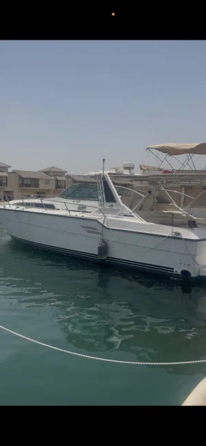Sea ray for sale