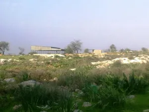 ‏الاستخدام المتعدد ‏.‏ 1000 م٢ ‏.‏ المالك‏3