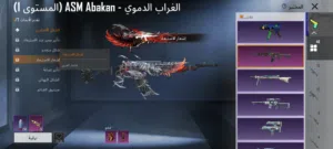 Pubg Accounts and Characters for Sale in Basra