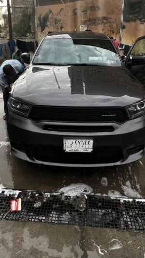 دورنكو 2019 gt