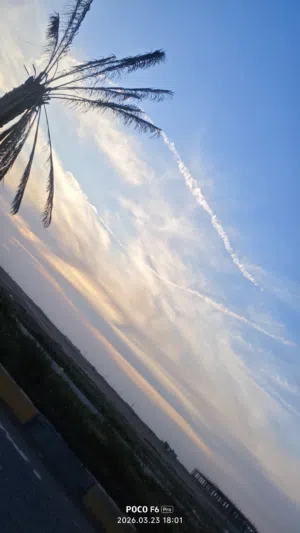 محمد 