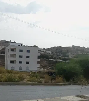 Residential Land for Sale in Amman Naour