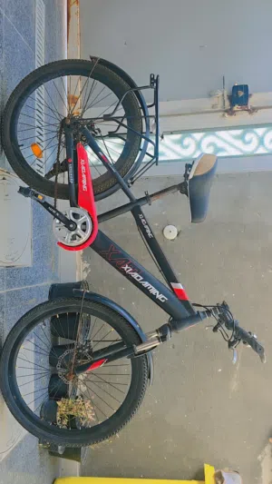 بايسكل شبابي
