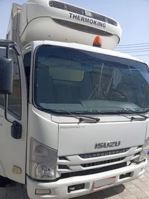 Isuzu Freezer (-18) Truck 3 Ton For Sale