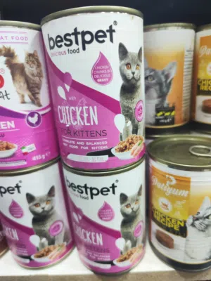 علب قطط بست بت كاتن