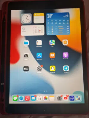 iPad9, 64 Gigabyte, with charger, cover and stylus