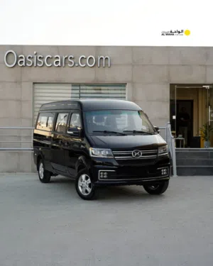 Shineray X30L Ev passenger 2024 Brand new