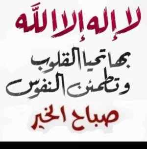 مطلوب بقرة حلوب هادئة