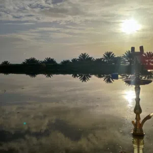 المعتصم بدين الله 