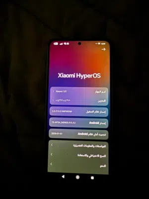 متاح هاتفين مقابل هاتف 17 برو ماكس