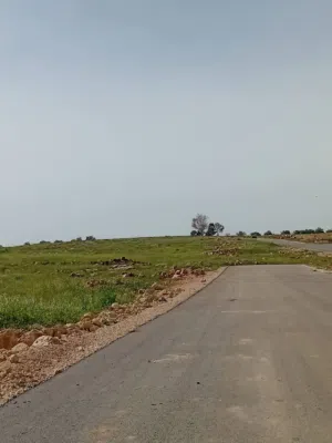 Farm Land for Sale in Jerash Other