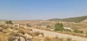 Residential Land for Sale in Zarqa Al-Kamsha