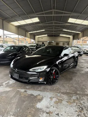 Tesla Model S Performance