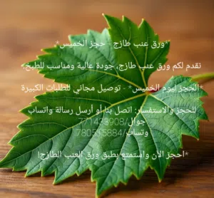 الارض الطيبة لورق العنب طازج