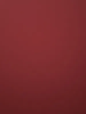ليتات خلف كرولا موديل 2010وكاله