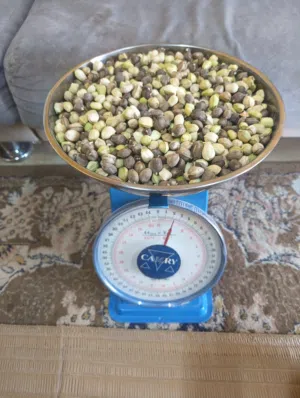 حب شوع للبيع 1كيلو 1.500