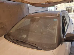 سيلتوز 2026