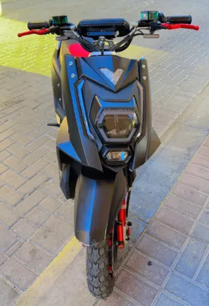 Electrical bike